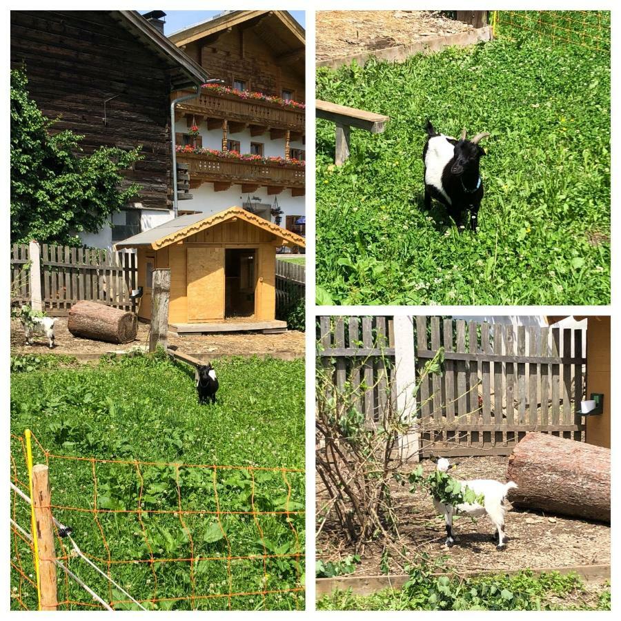 Obergrundhof Apartment Leogang Luaran gambar
